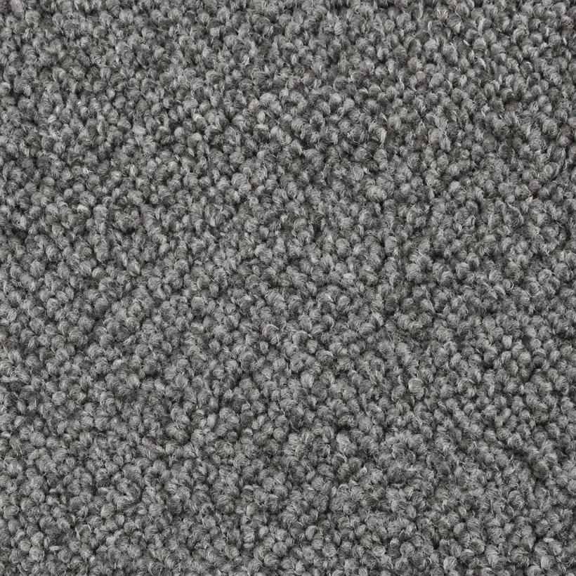 Carpet and Specialty Floor Care Robots — What Autonomy Cannot Do